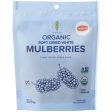 Amphora - Organic Soft Dried White Mulberries, 4oz Discount