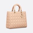 LARGE LADY DIOR BAG Fashion