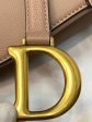 Dior SADDLE BAG Taupe WITH STRAP Online Hot Sale