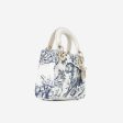 Lady Dior - Mini Toile de Jouy Online now