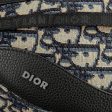 DIOR SCARAB BAG Hot on Sale